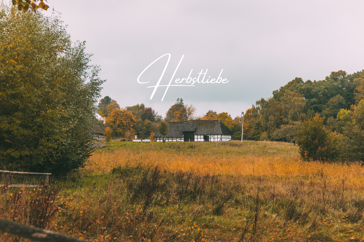 Herbstmarkt im Freilichtmuseum Molfsee