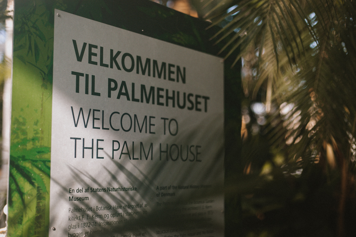 Tipps für ein Wochenende in Kopenhagen: Palmenhaus 