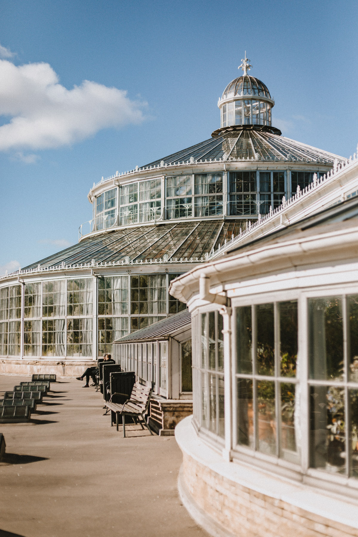 Tipps für ein Wochenende in Kopenhagen: Das Palmenhaus