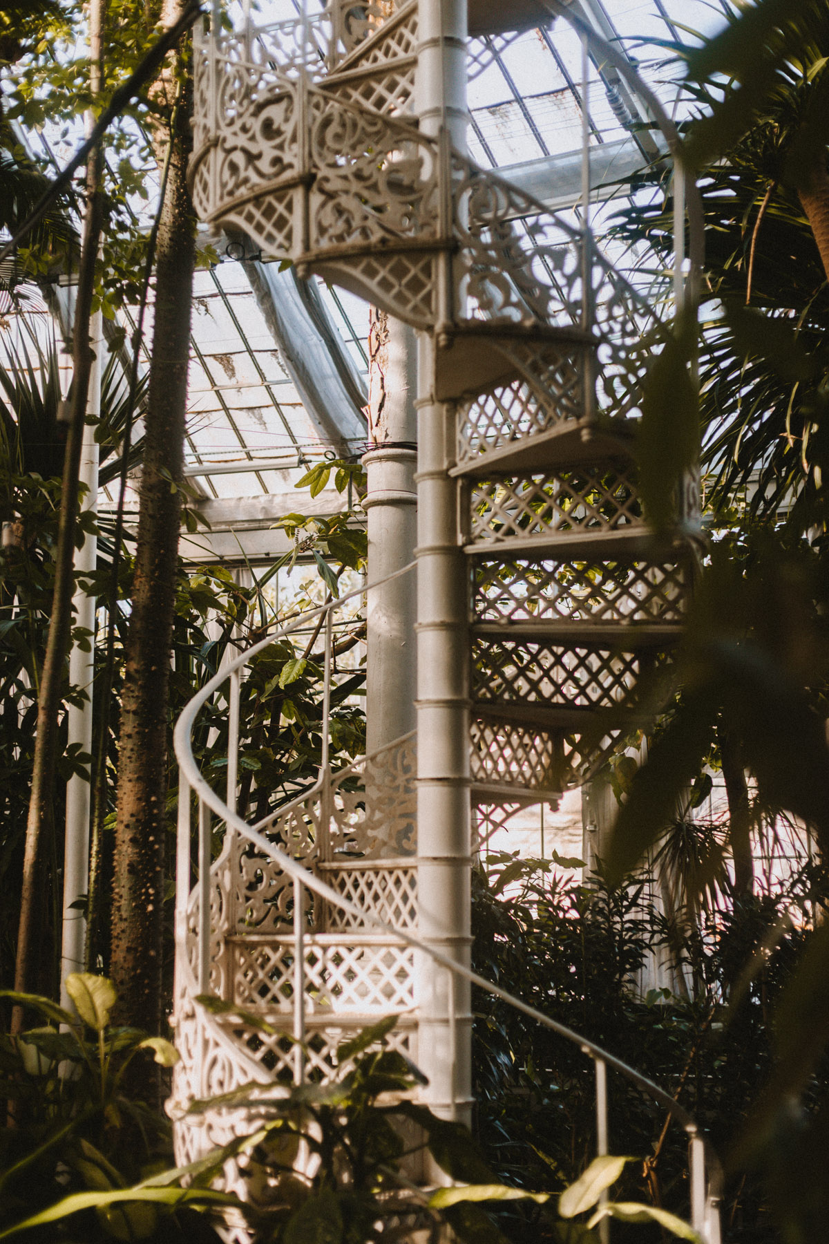 Tipps für ein Wochenende in Kopenhagen: Das Palmenhaus