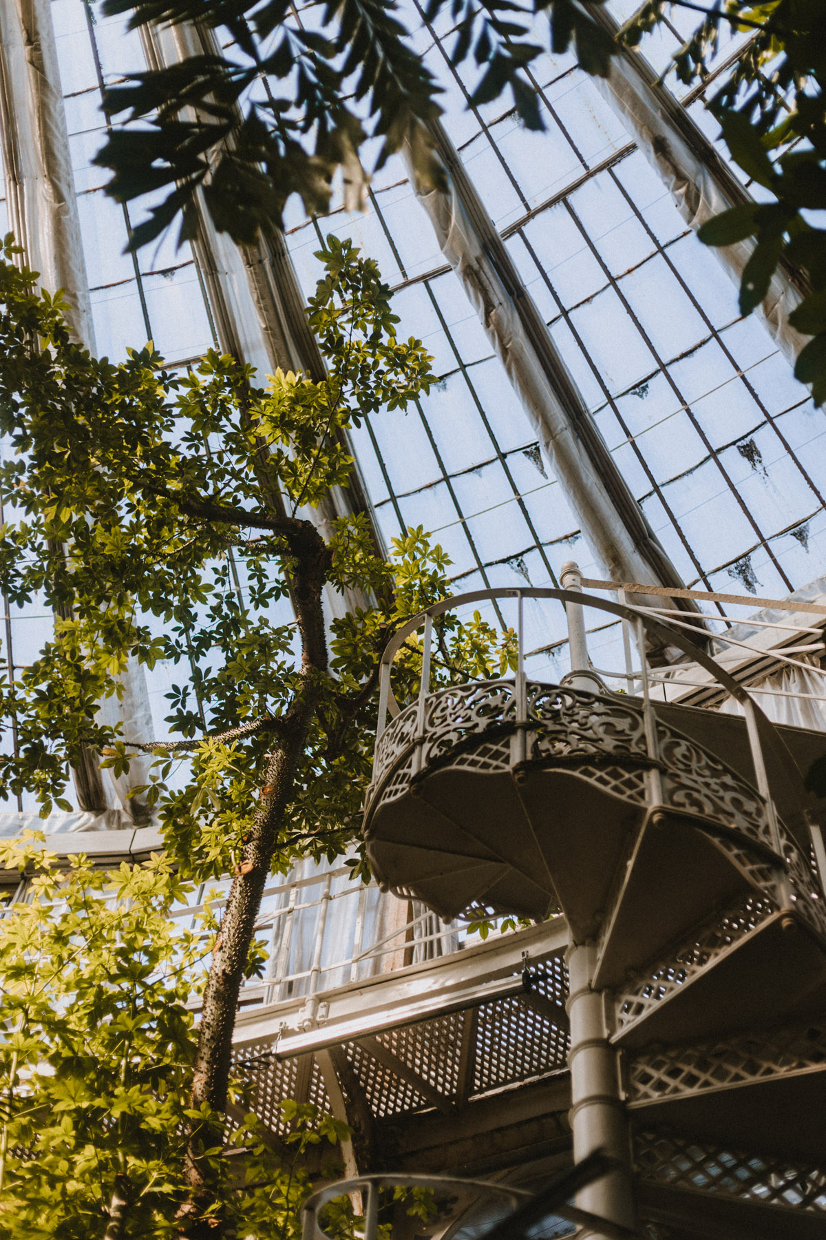 Tipps für ein Wochenende in Kopenhagen: Das Palmenhaus