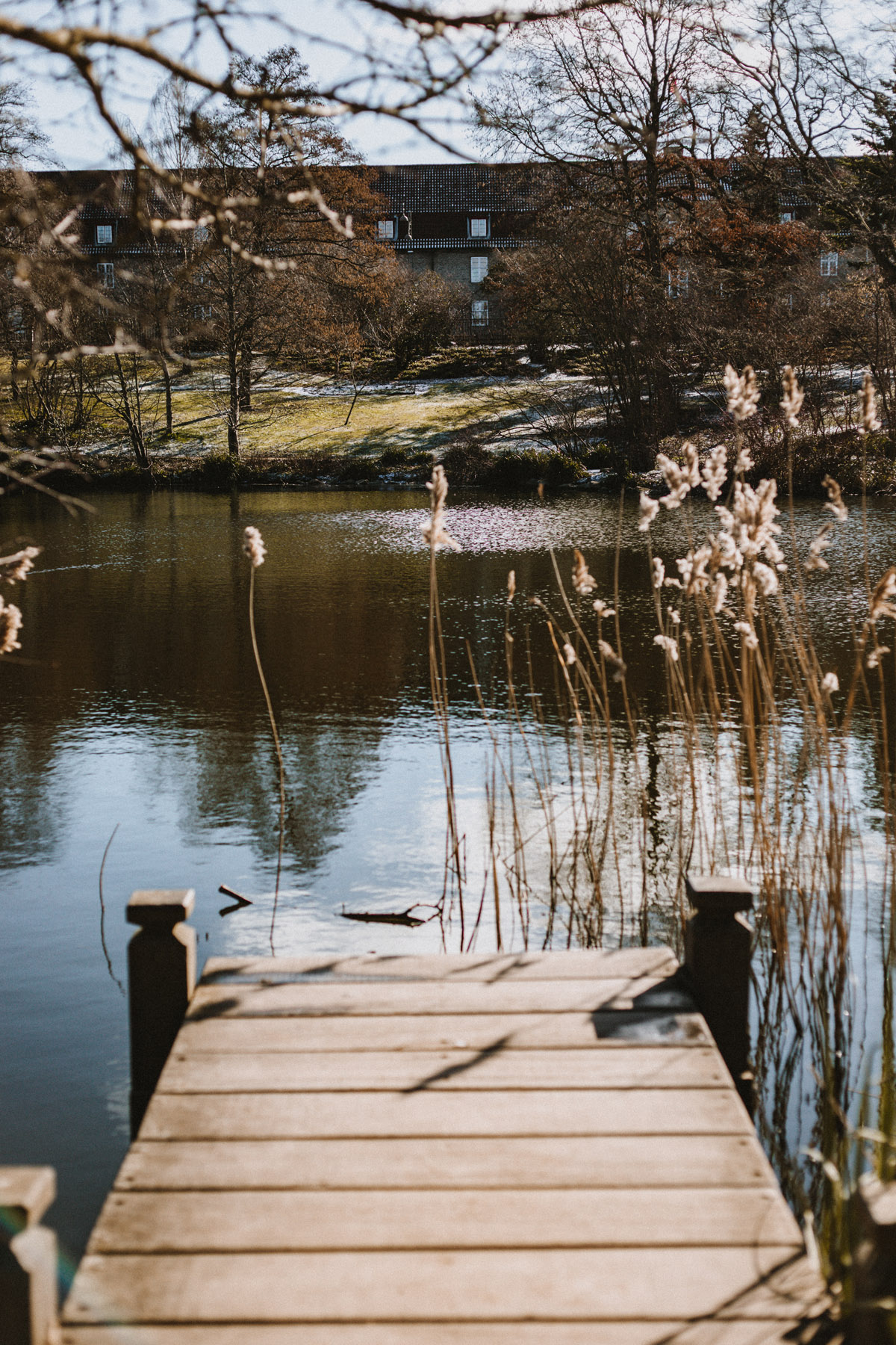 Tipps für ein Wochenende in Kopenhagen: Der Botanische Garten