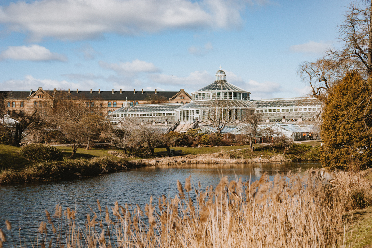 Tipps für ein Wochenende in Kopenhagen: Der Botanische Garten