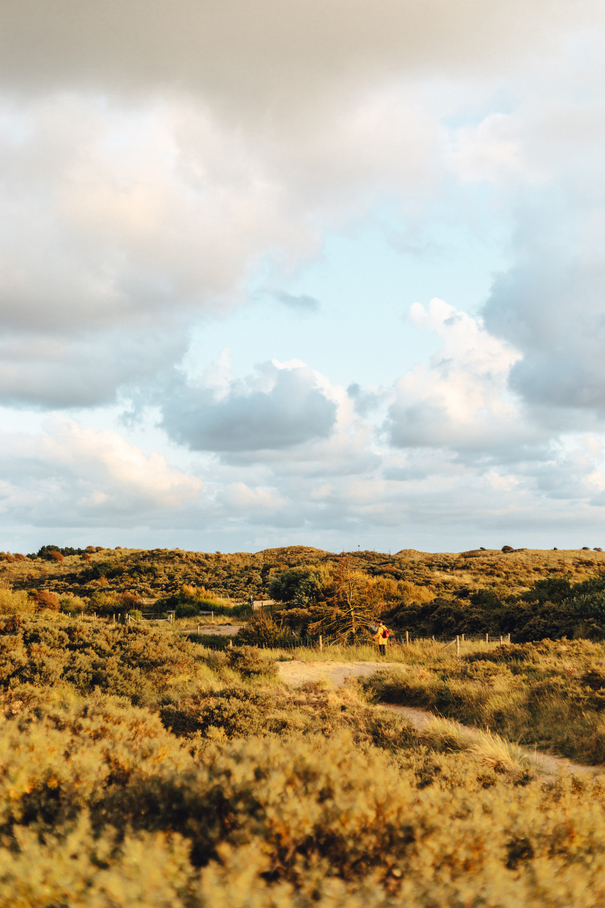 Kurzurlaub in Zandvoort: Dünenlandschaft